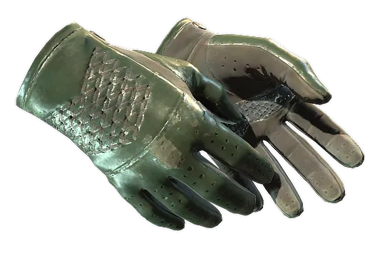 Driver Gloves Racing Green CS skin reward