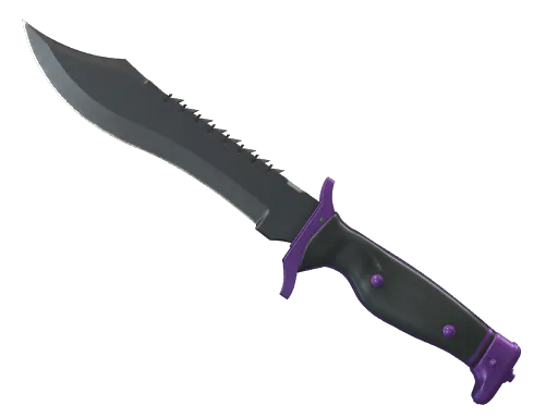 Bowie Knife Ultraviolet CS skin reward